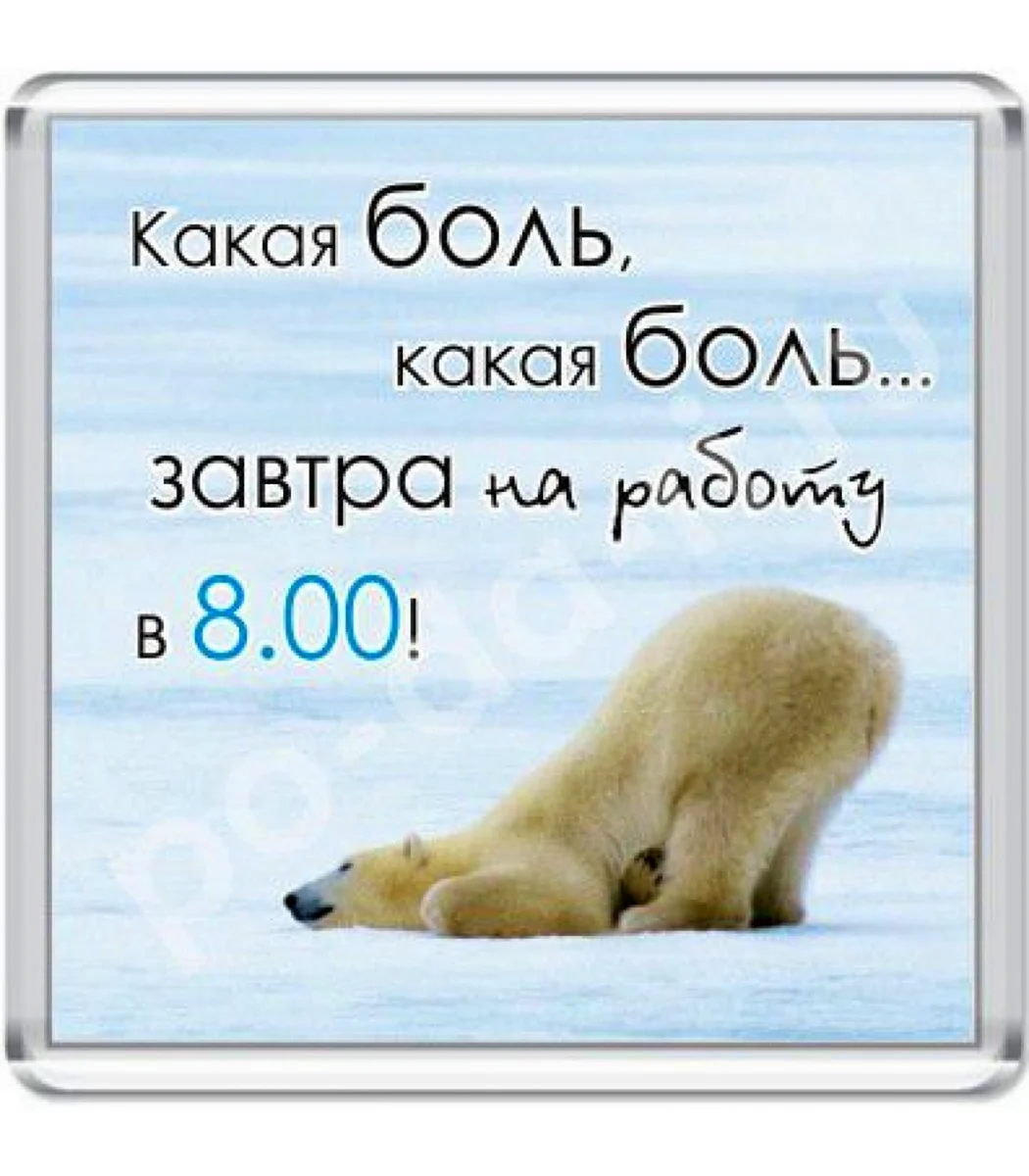 Магнит прикол