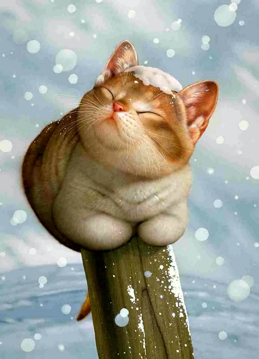 Макото Мурамацу