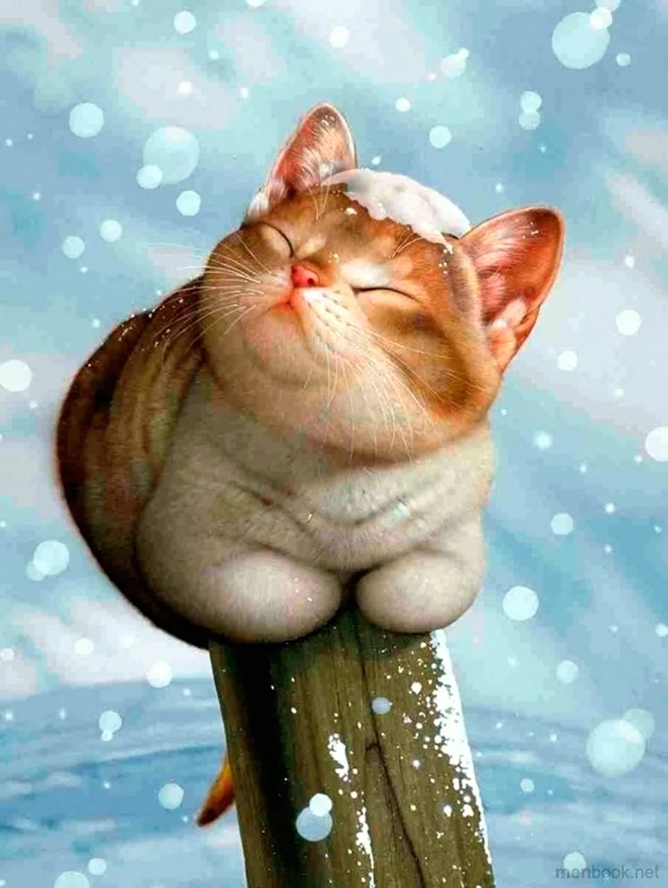Макото Мурамацу