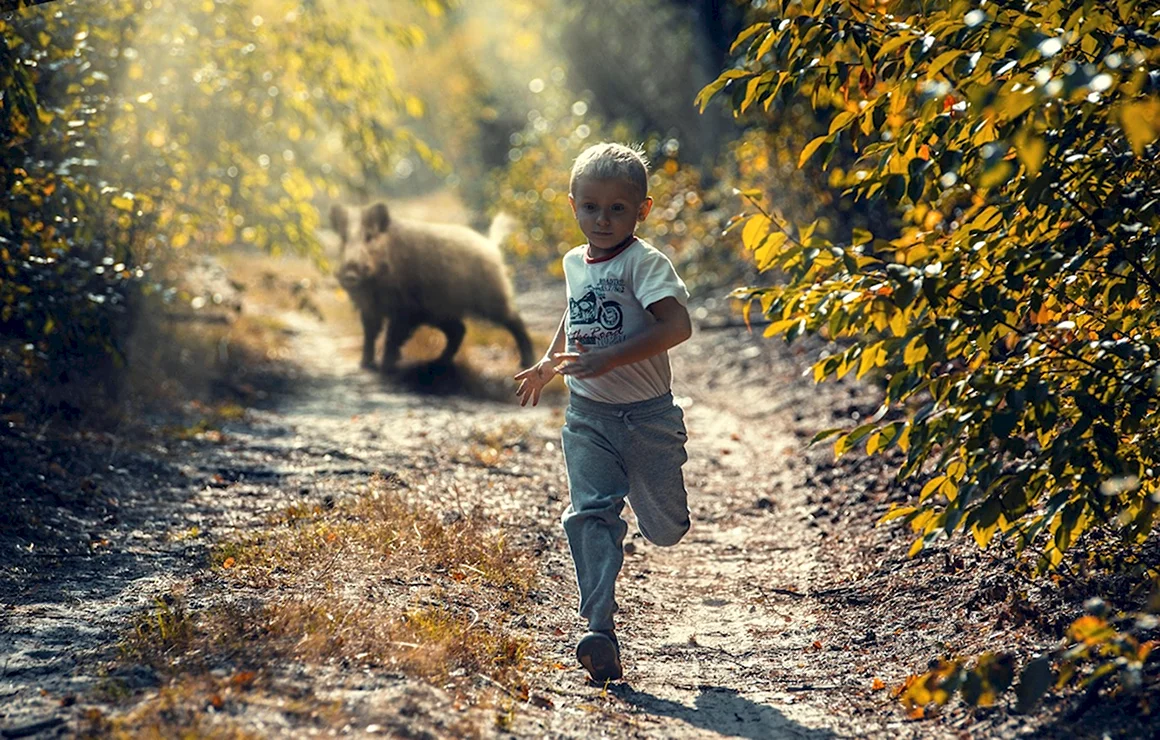 Мальчик в лесу