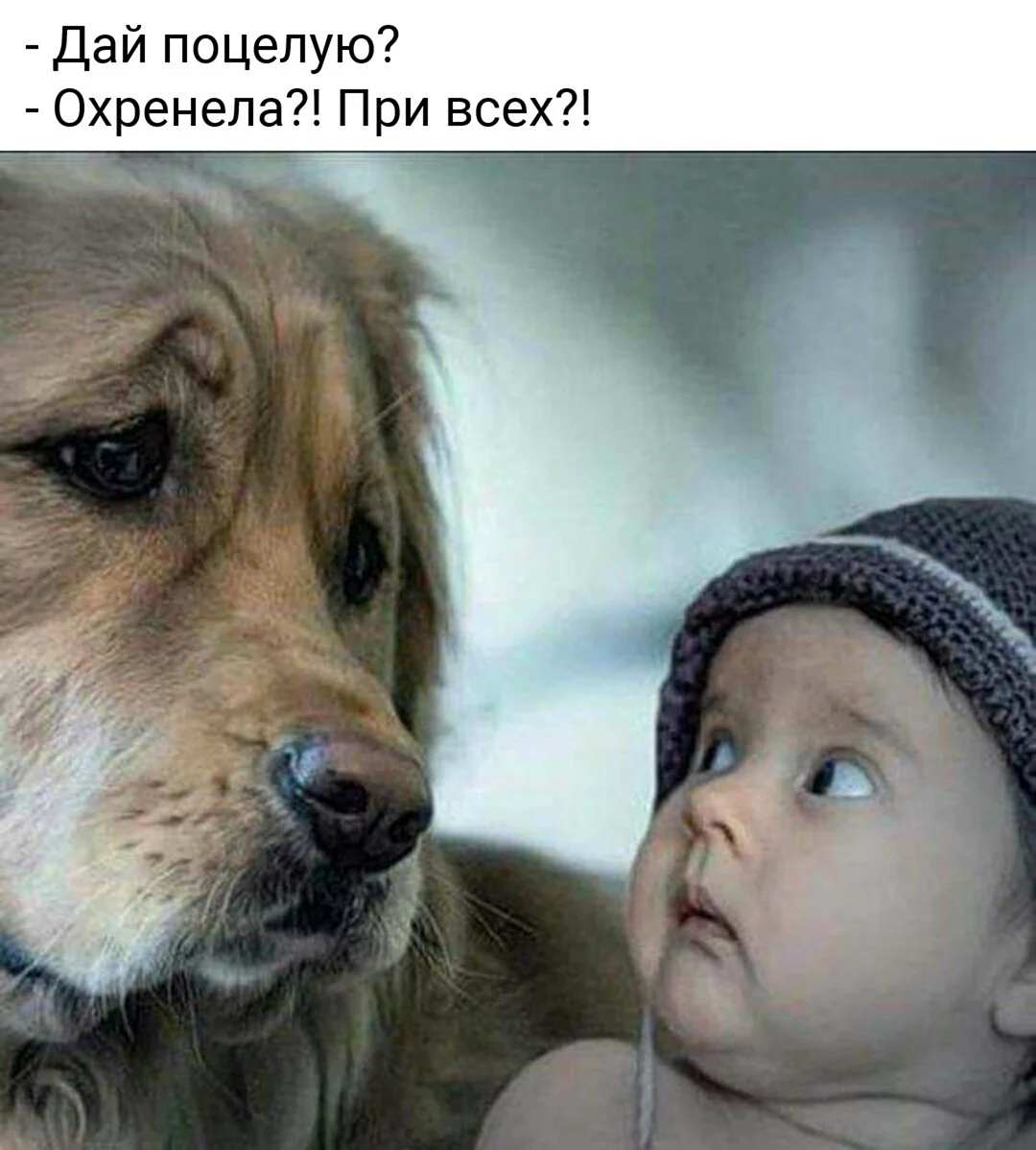 Маленькие дети и животные