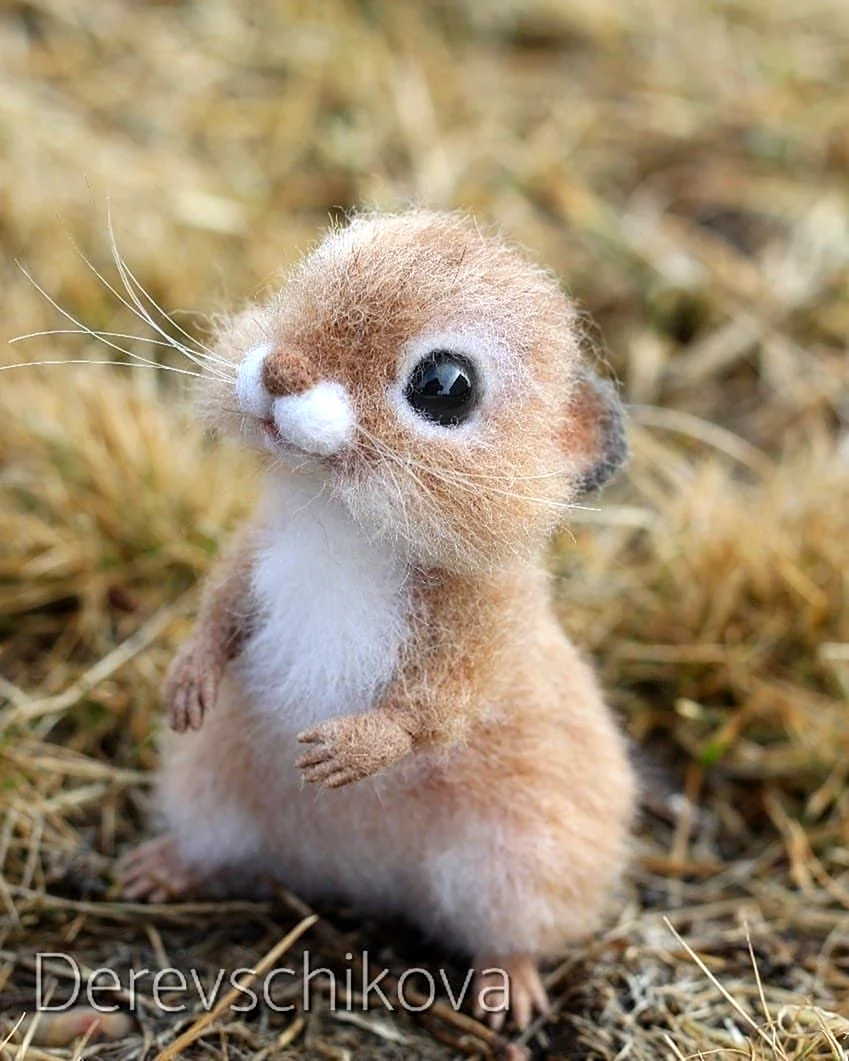 Маленькие животные