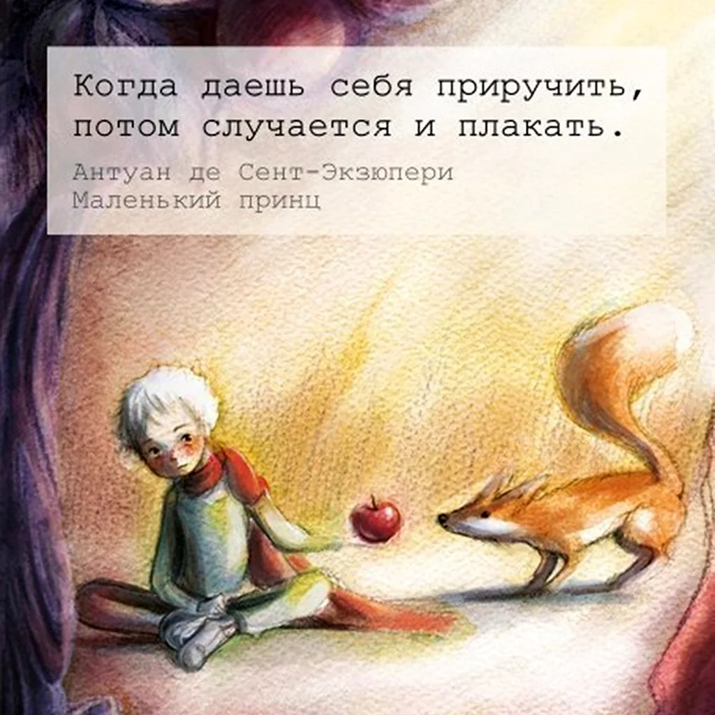 Маленький принц цитаты лиса