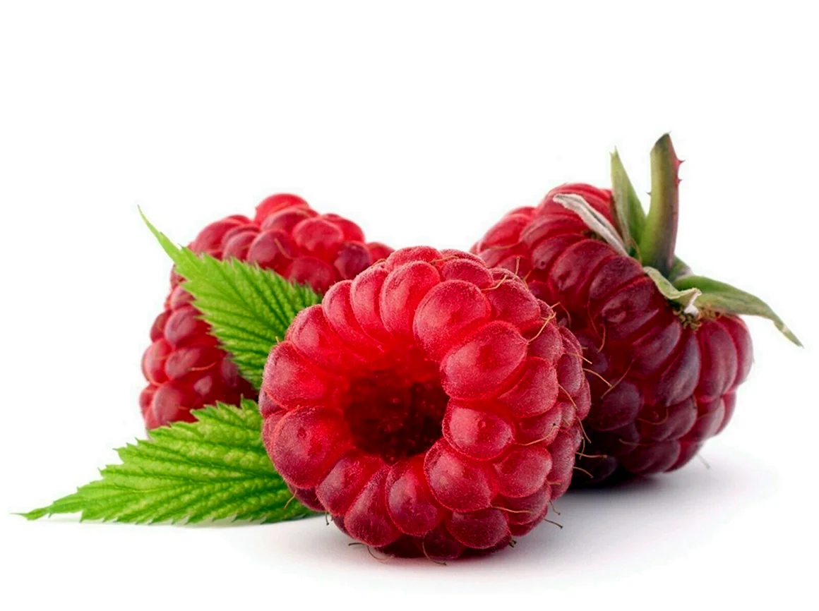 Малина