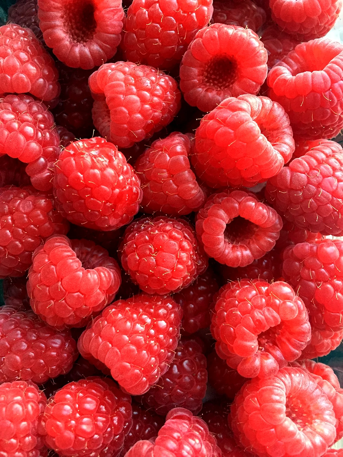 Малина