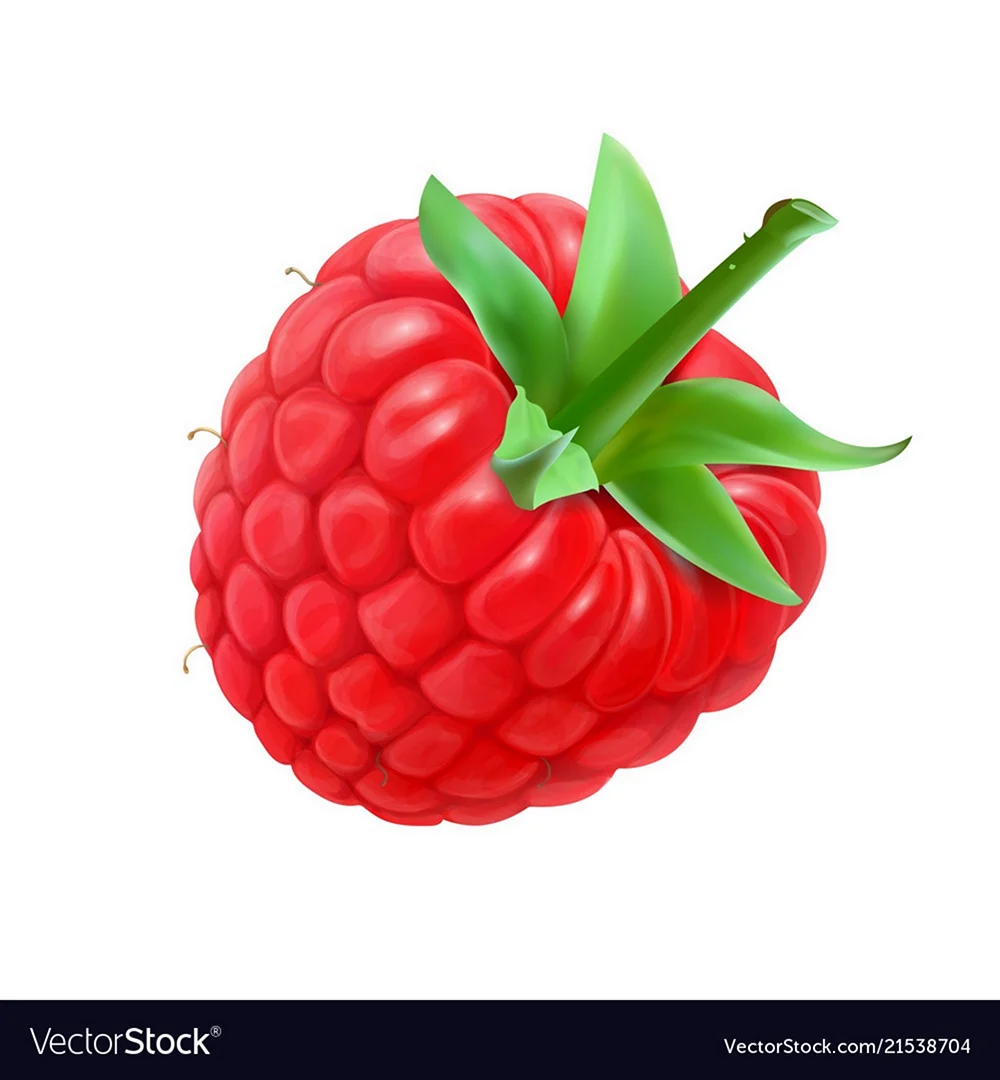 Малина макет