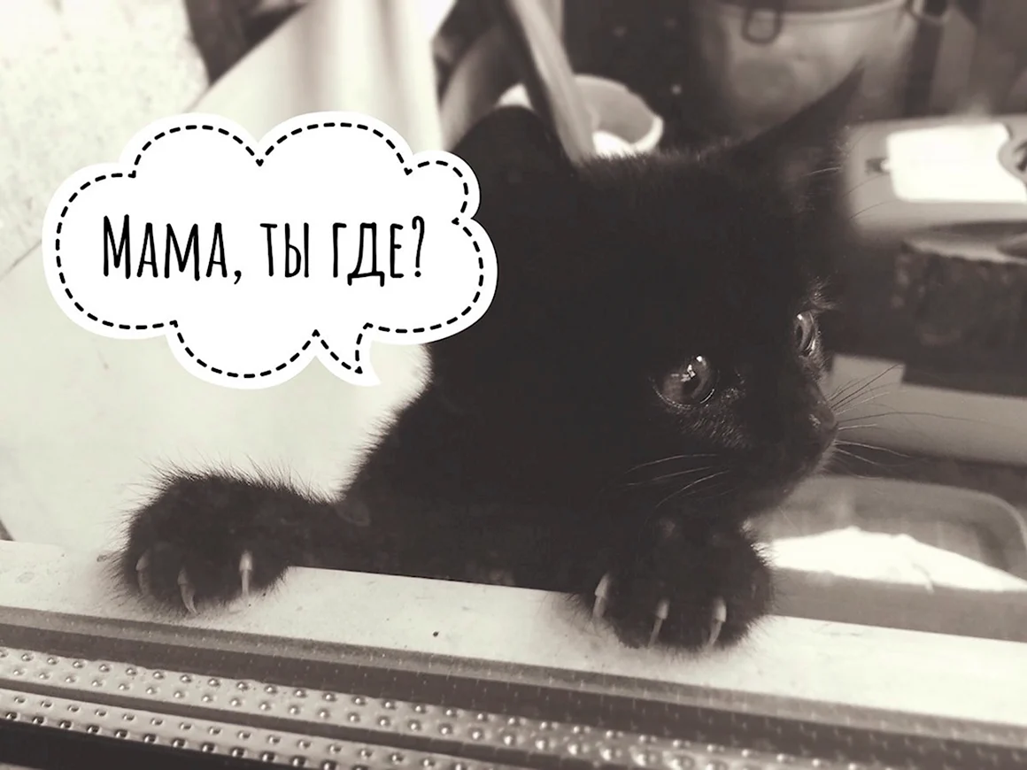 Мама ждёт тебя