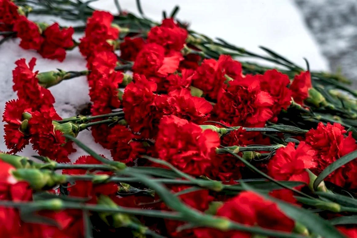 Мамаев Курган гвоздики
