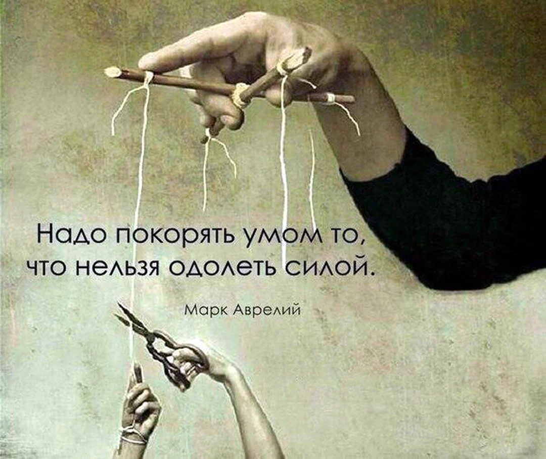 Манипуляция Эстетика