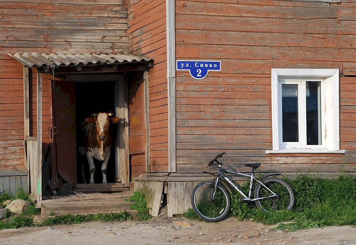 Маразм в России