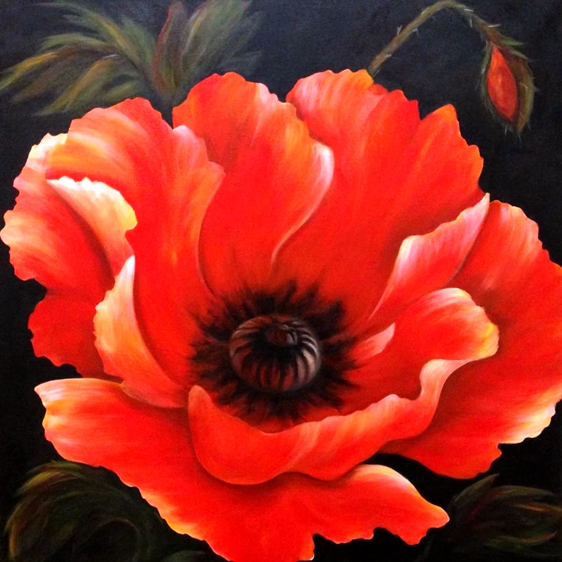 Marianne Broome маки