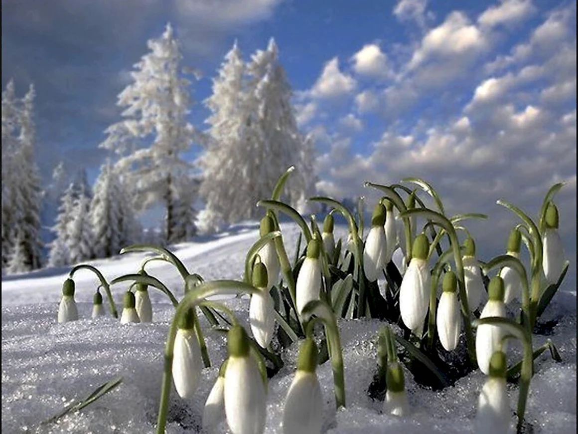 Март природа