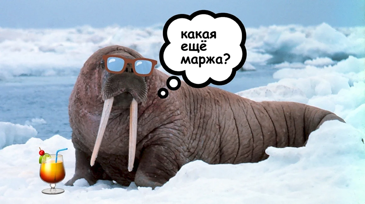 Маржа картинка