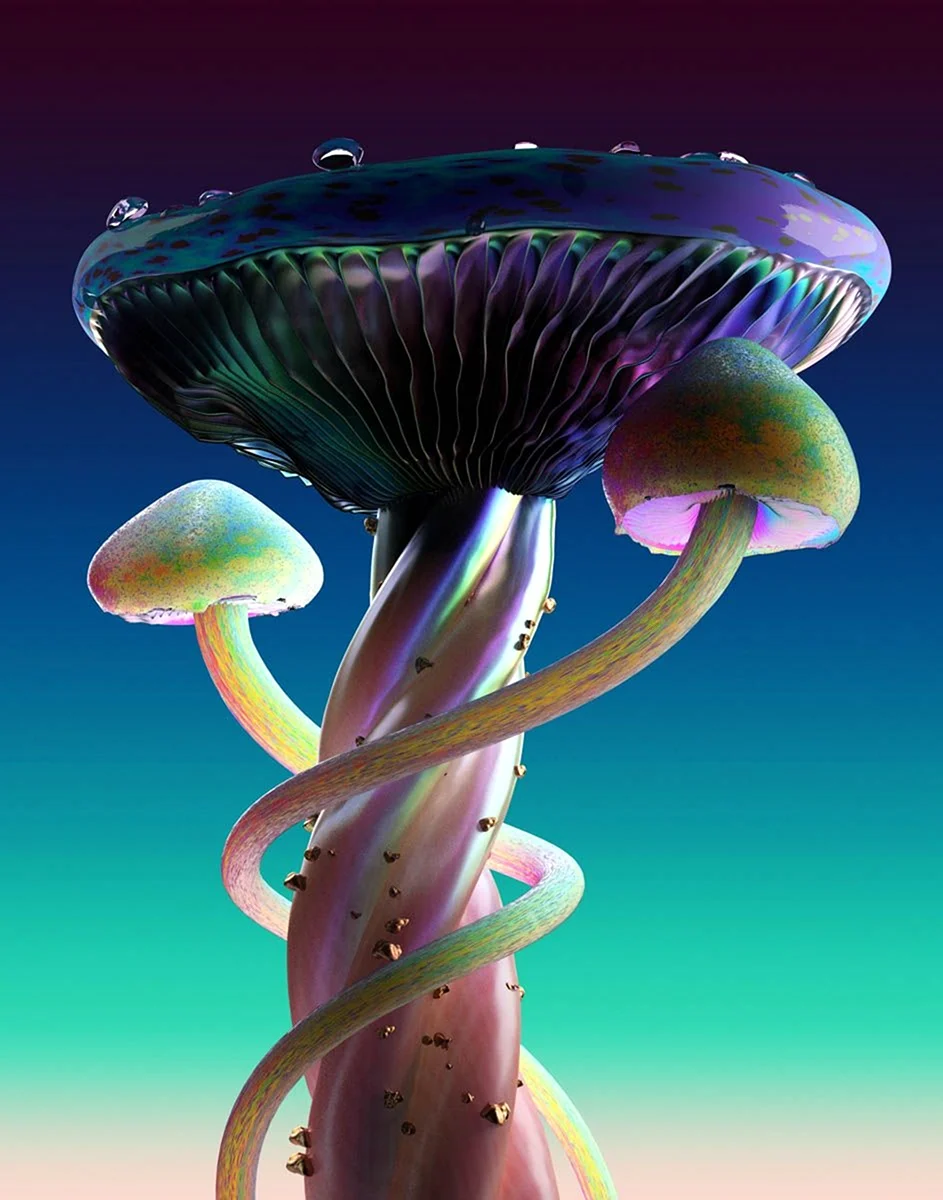 Машрумс утопия грибы