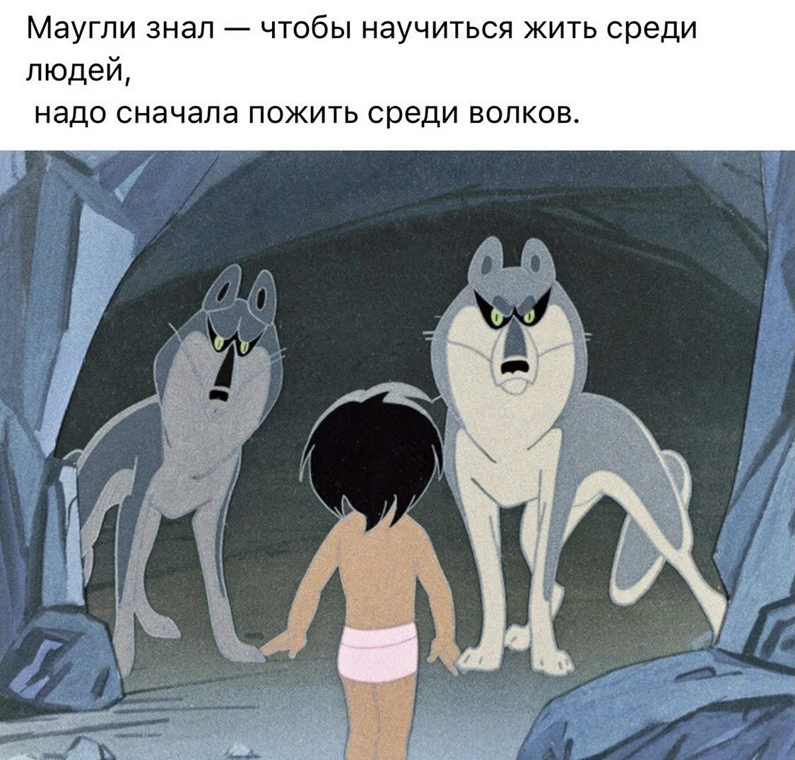 Маугли Ракша 1973