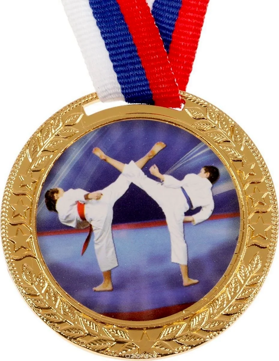 Медаль карате