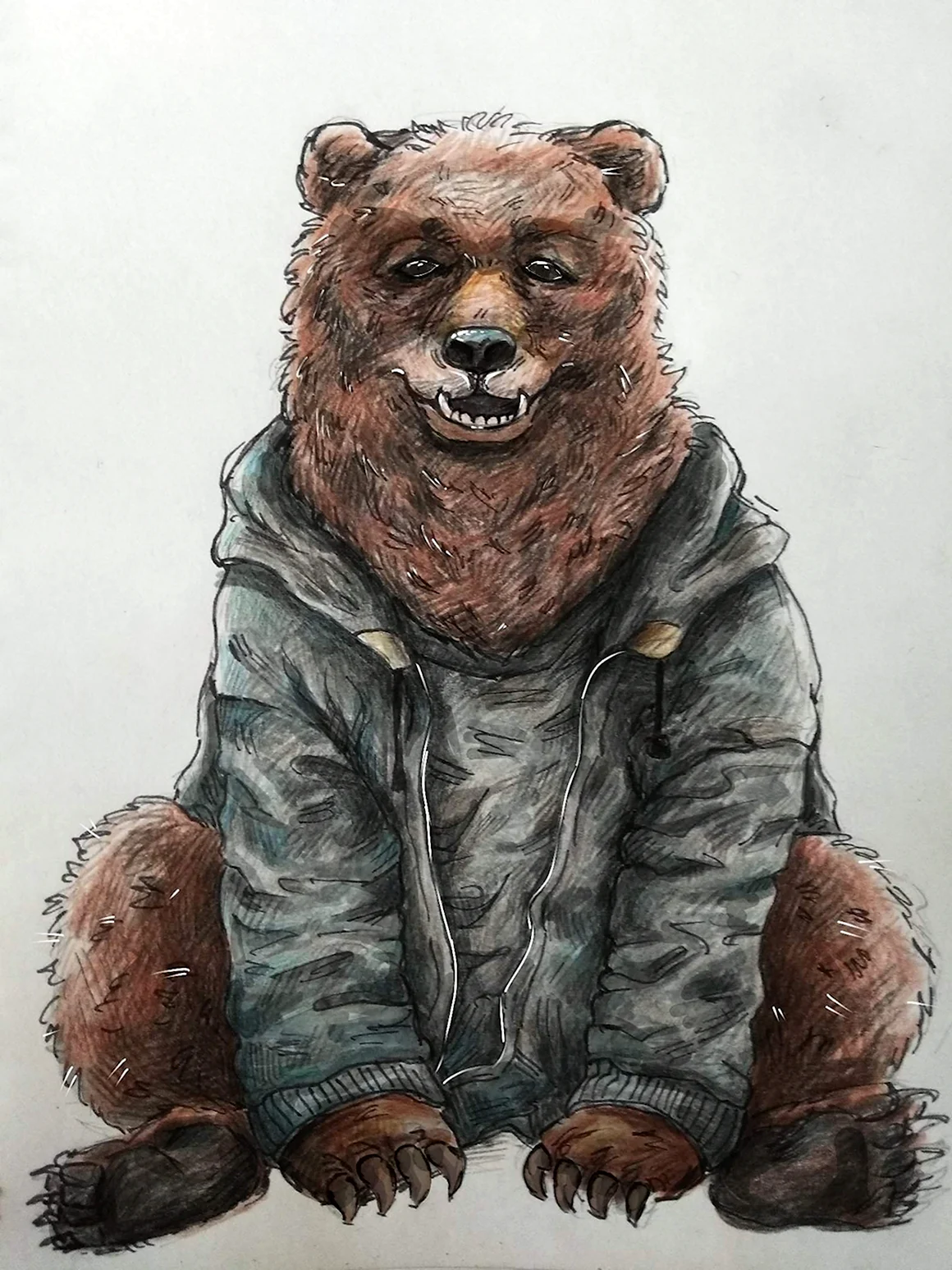 Медведь и человек