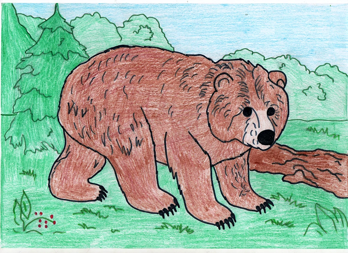 Медведь рисунок