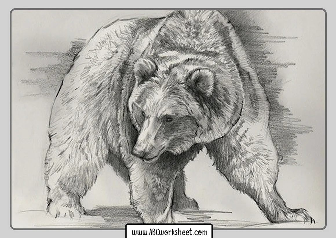 Медведь рисунок карандашом