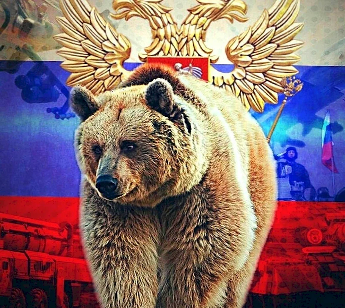Медведь Россия