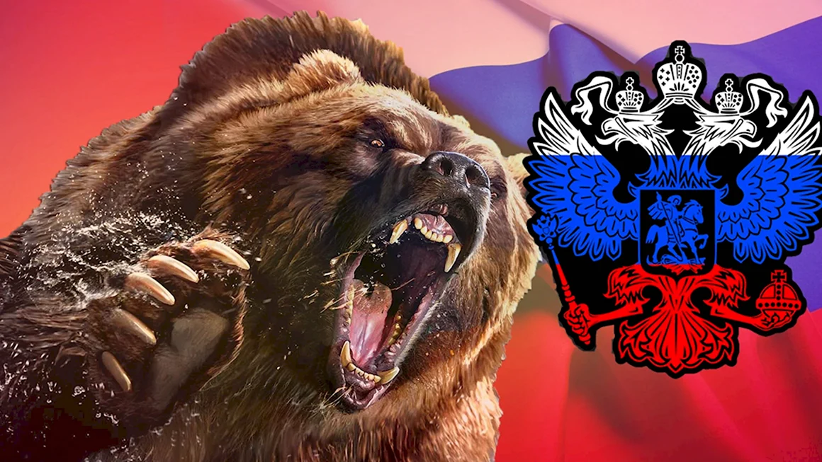 Медведь Россия