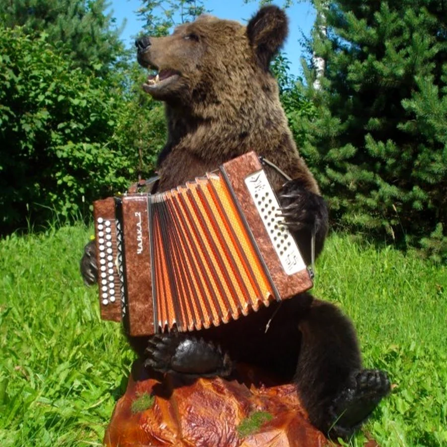 Медведь с гармошкой
