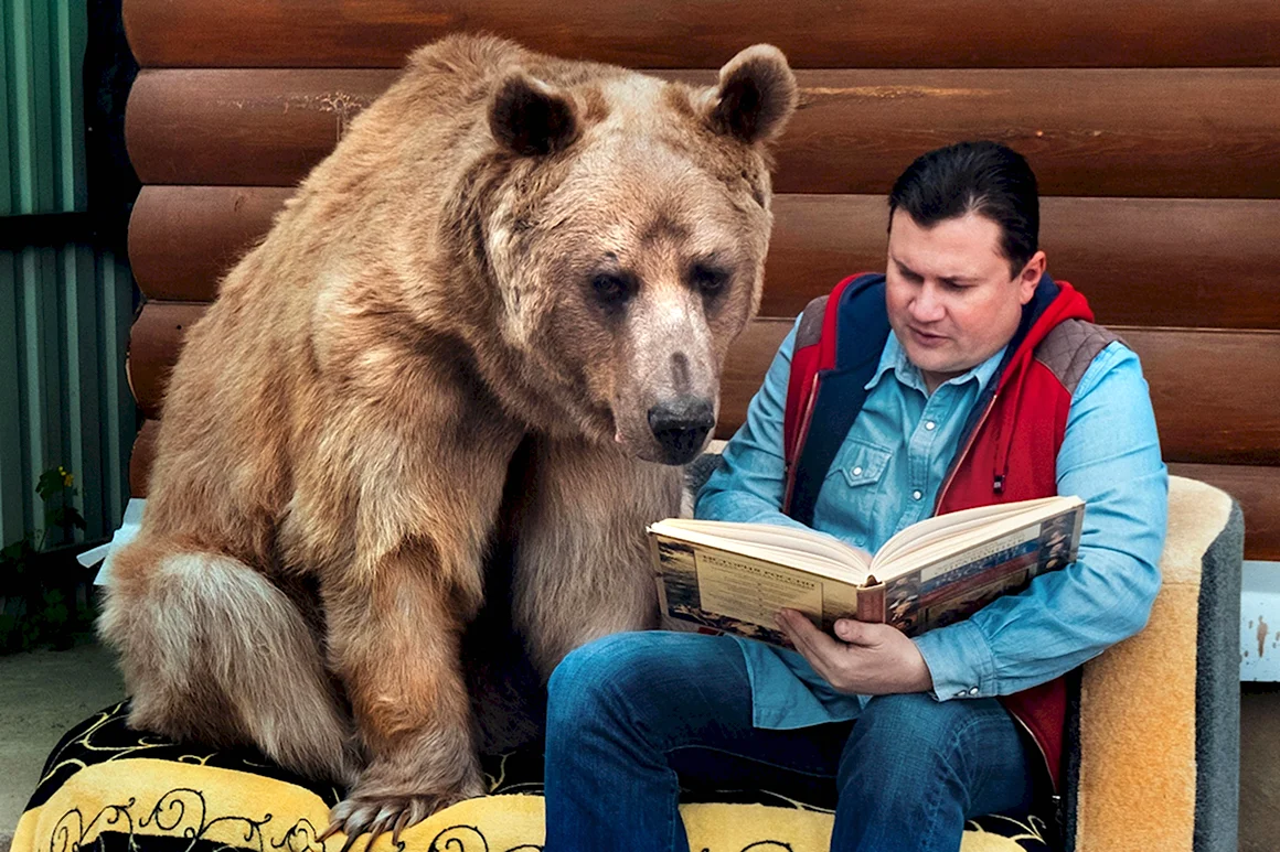 Медведь Степан Пантелеенко