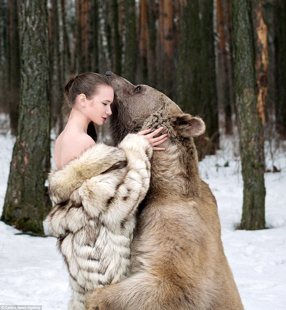 Медведь Степан Шапша