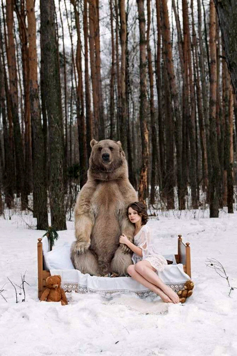 Медведь Степан Шапша