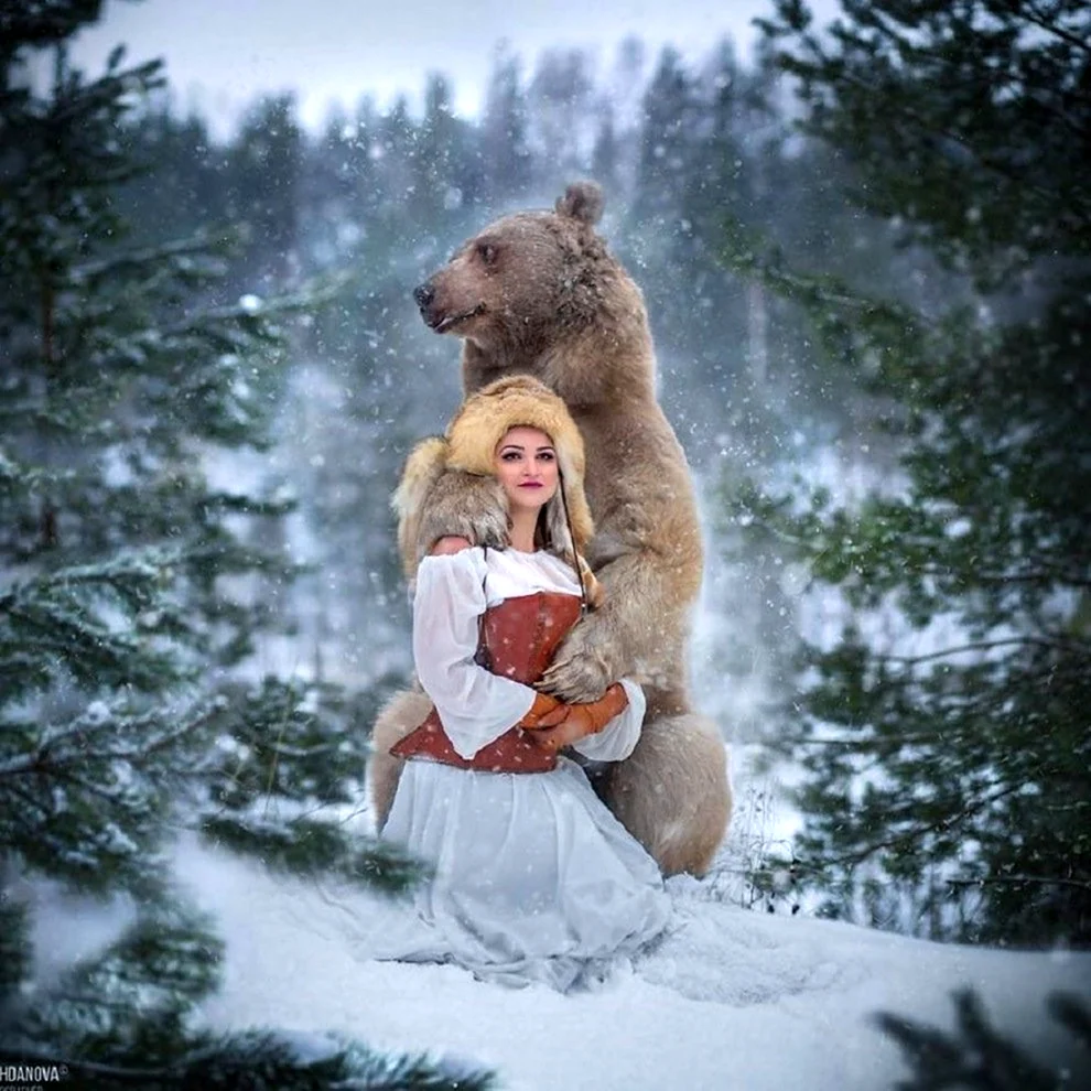 Медведь Степан Шапша