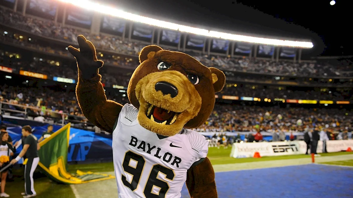 Медведь UCLA Bruins