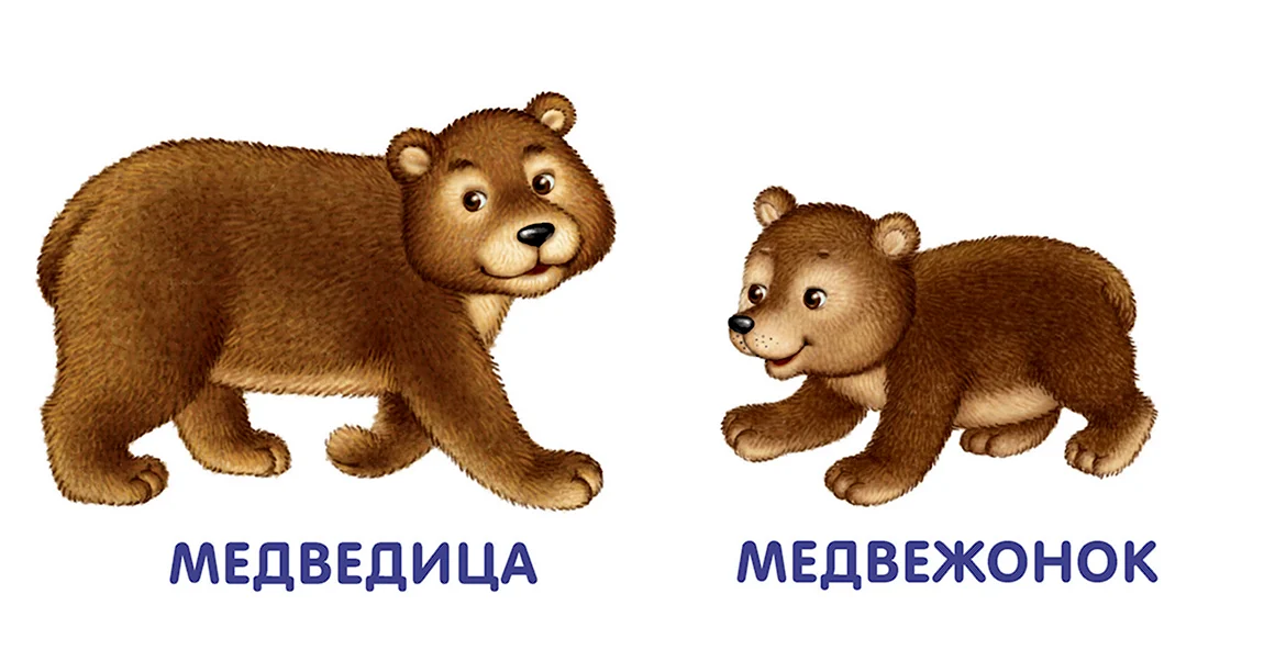Медведица с медвежатами для детей