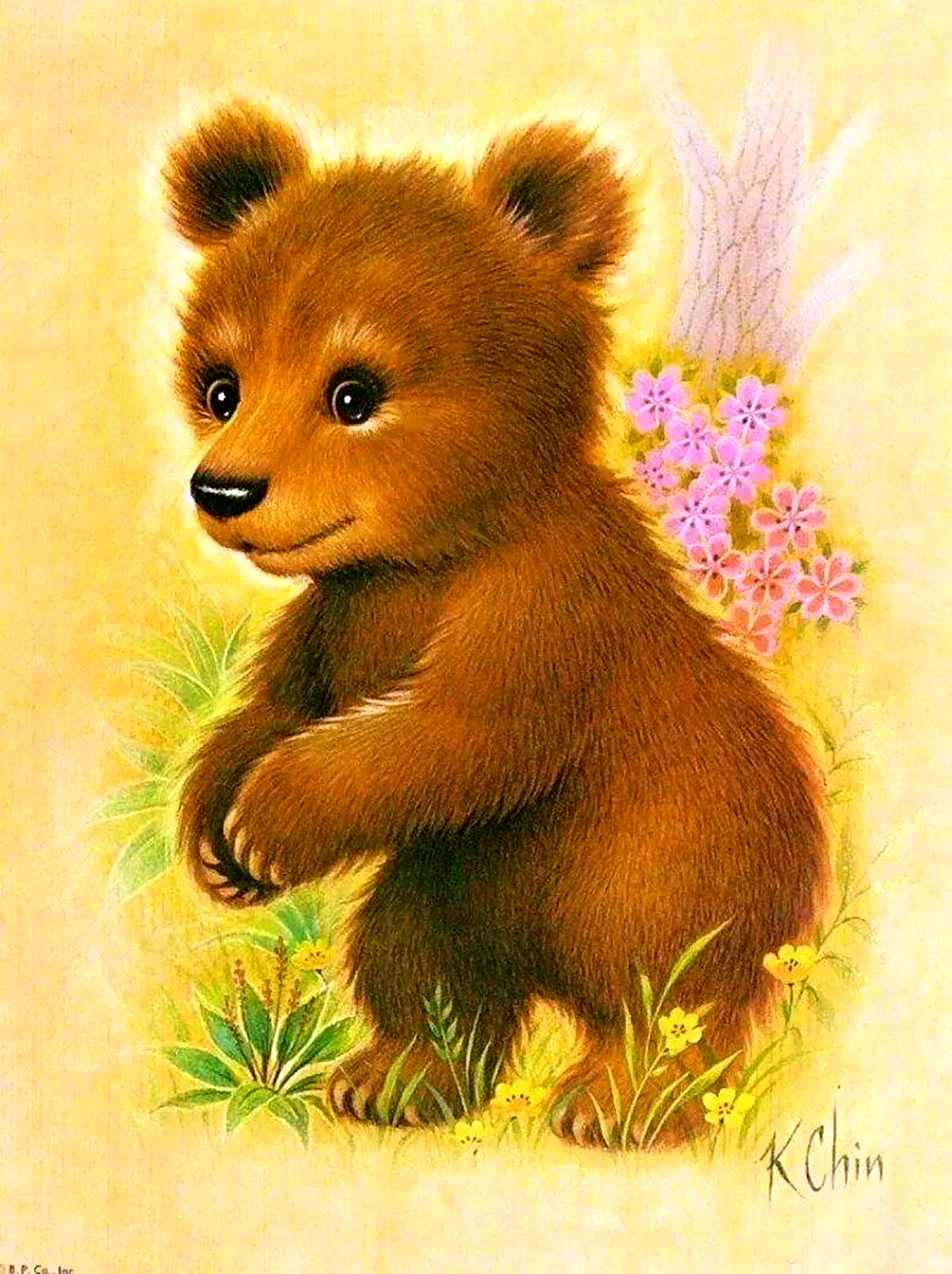 Медвежонок