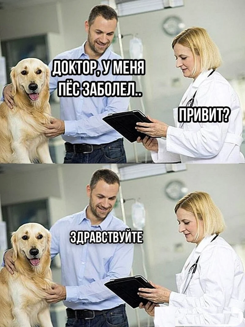 Мемы про ветеринаров