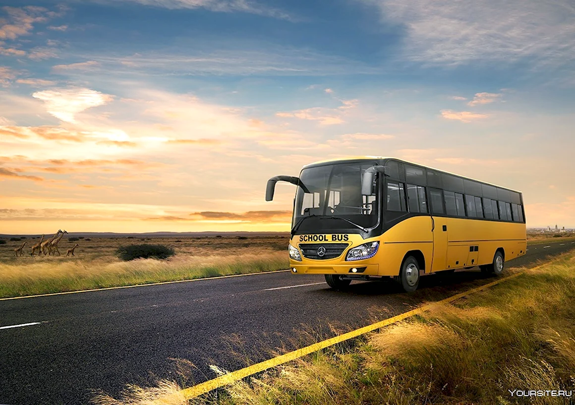 Mercedes Benz Bus