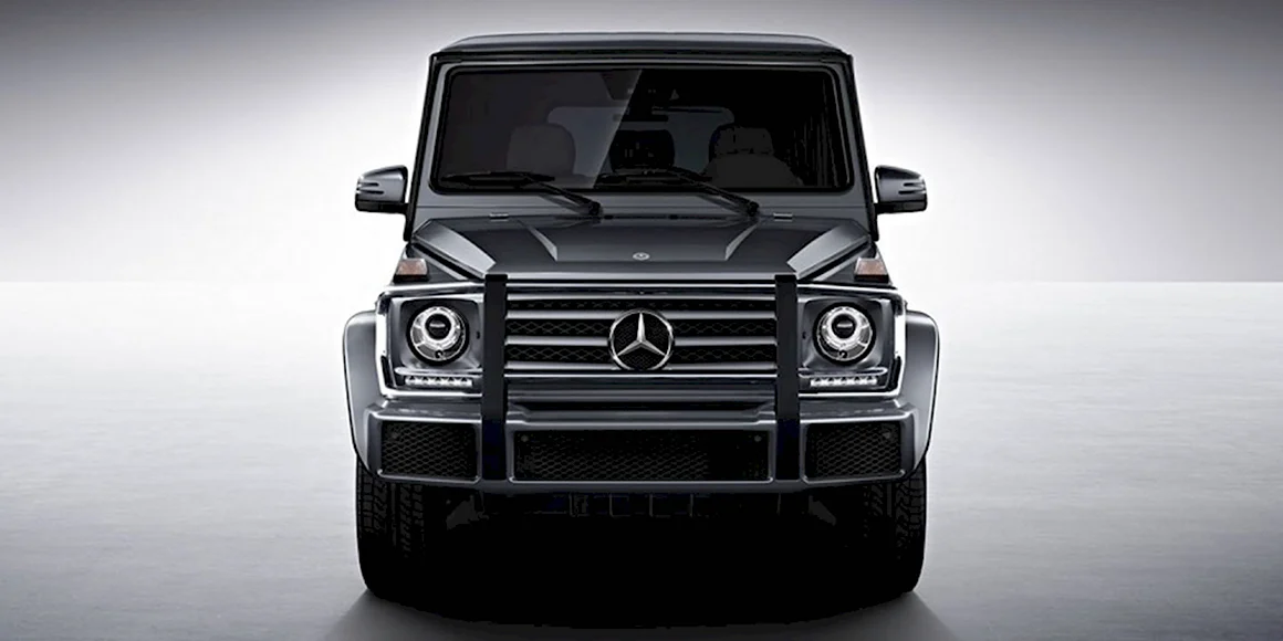 Mercedes Benz g class 2014