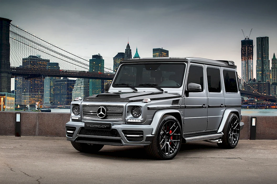 Mercedes-Benz g-class g 65 AMG