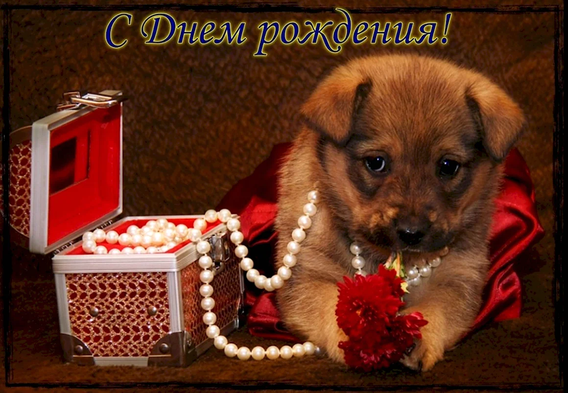Мерцающие собачки