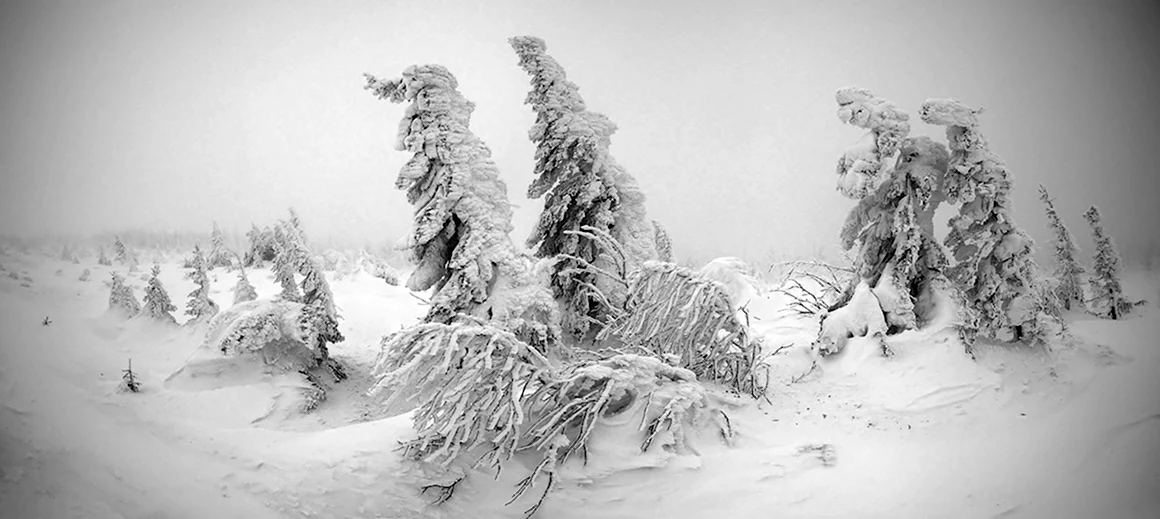 Метель рисунок