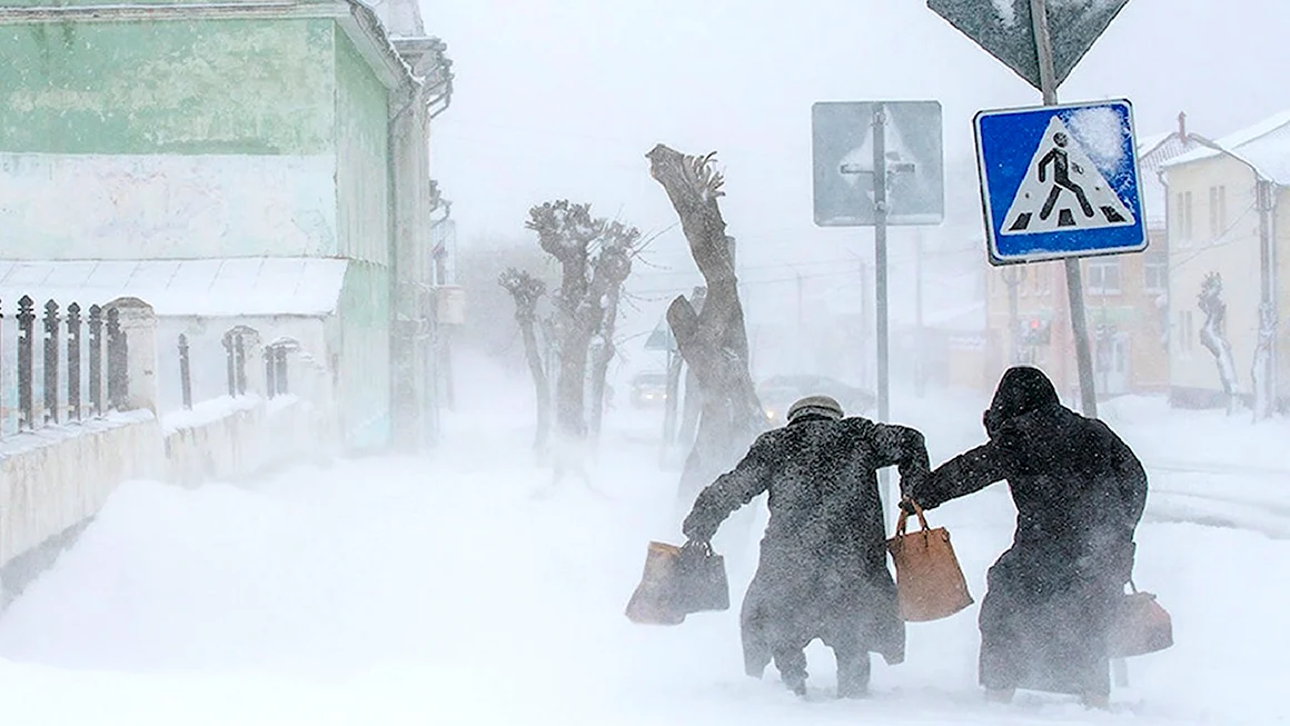 Метель в городе