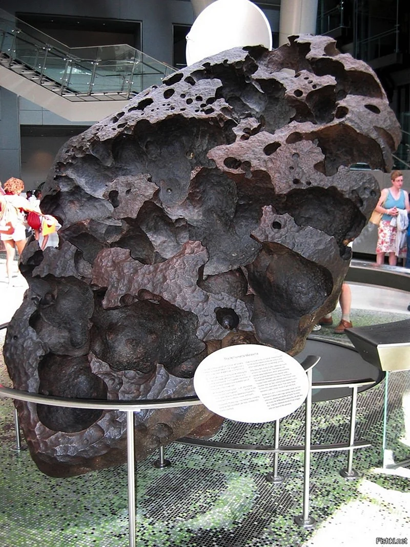 Метеорит Уилламетт