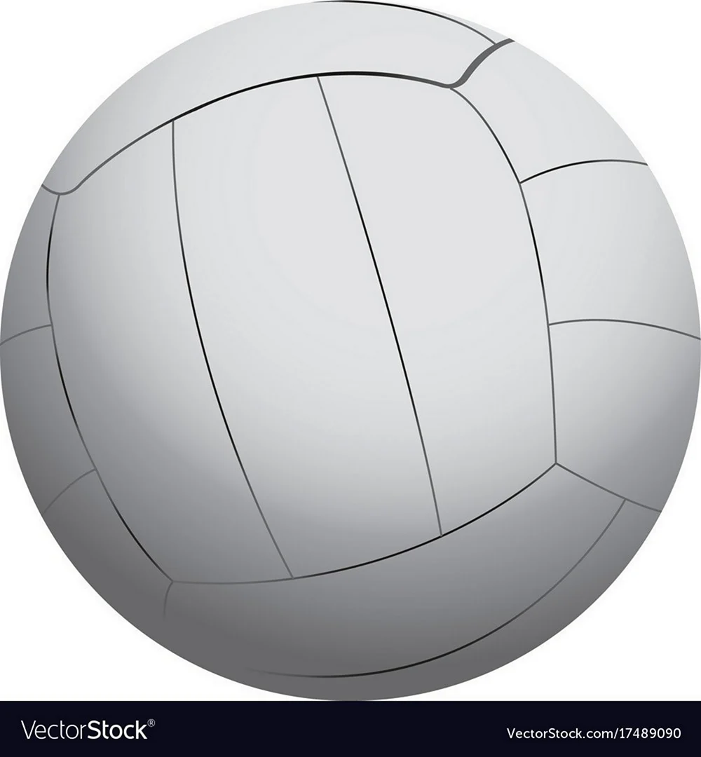 Mikasa Ball vector