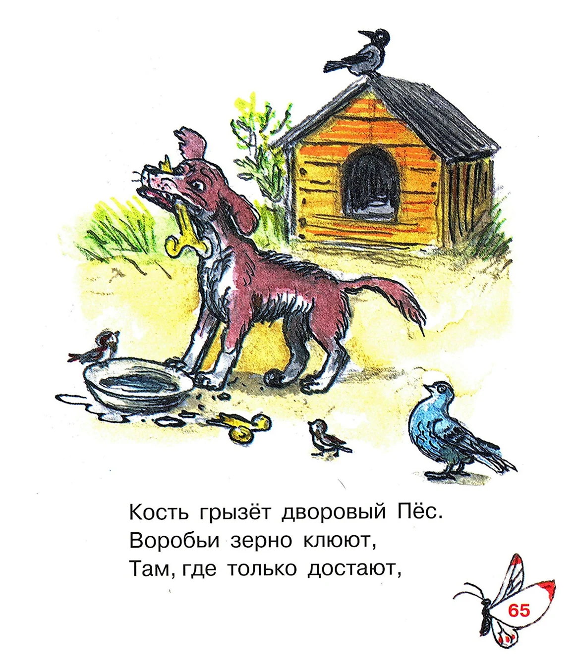 Михалков басня большая кость