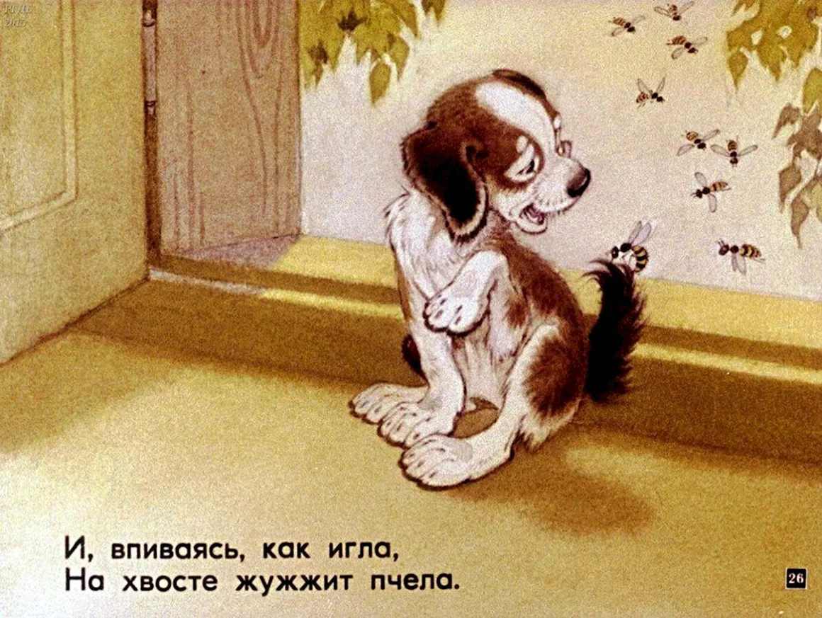 Михалков щенок