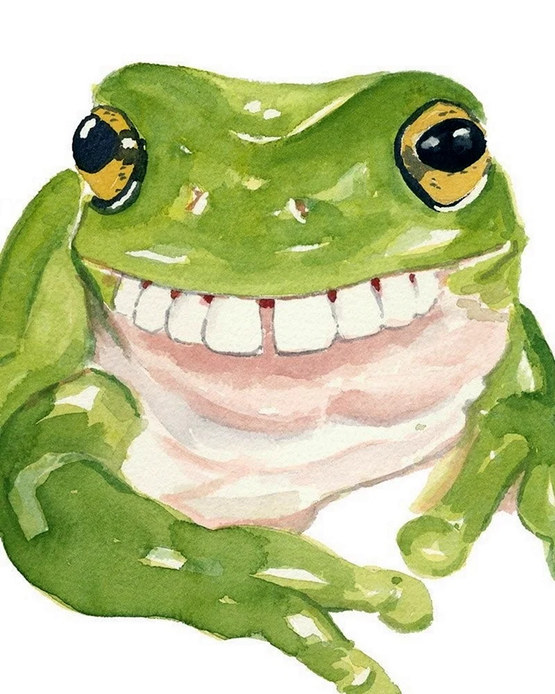 Милая лягушка арт