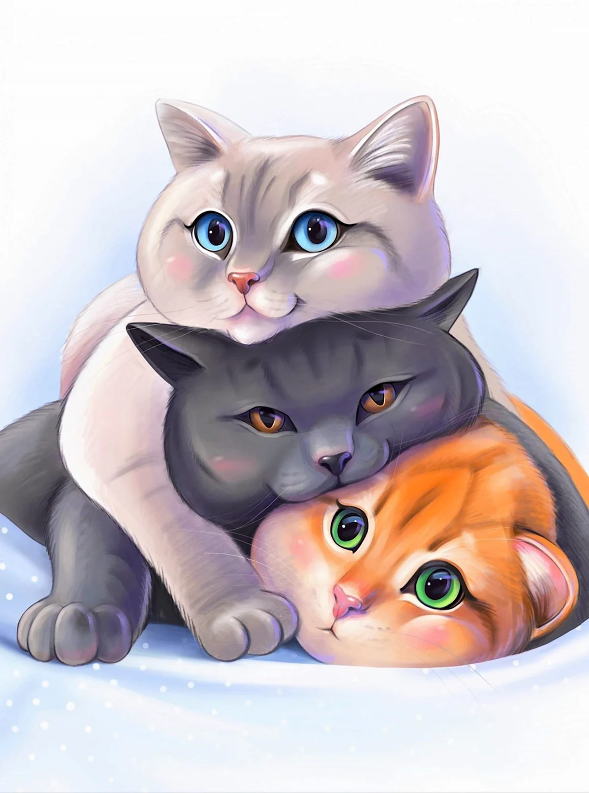 Милая семья котиков