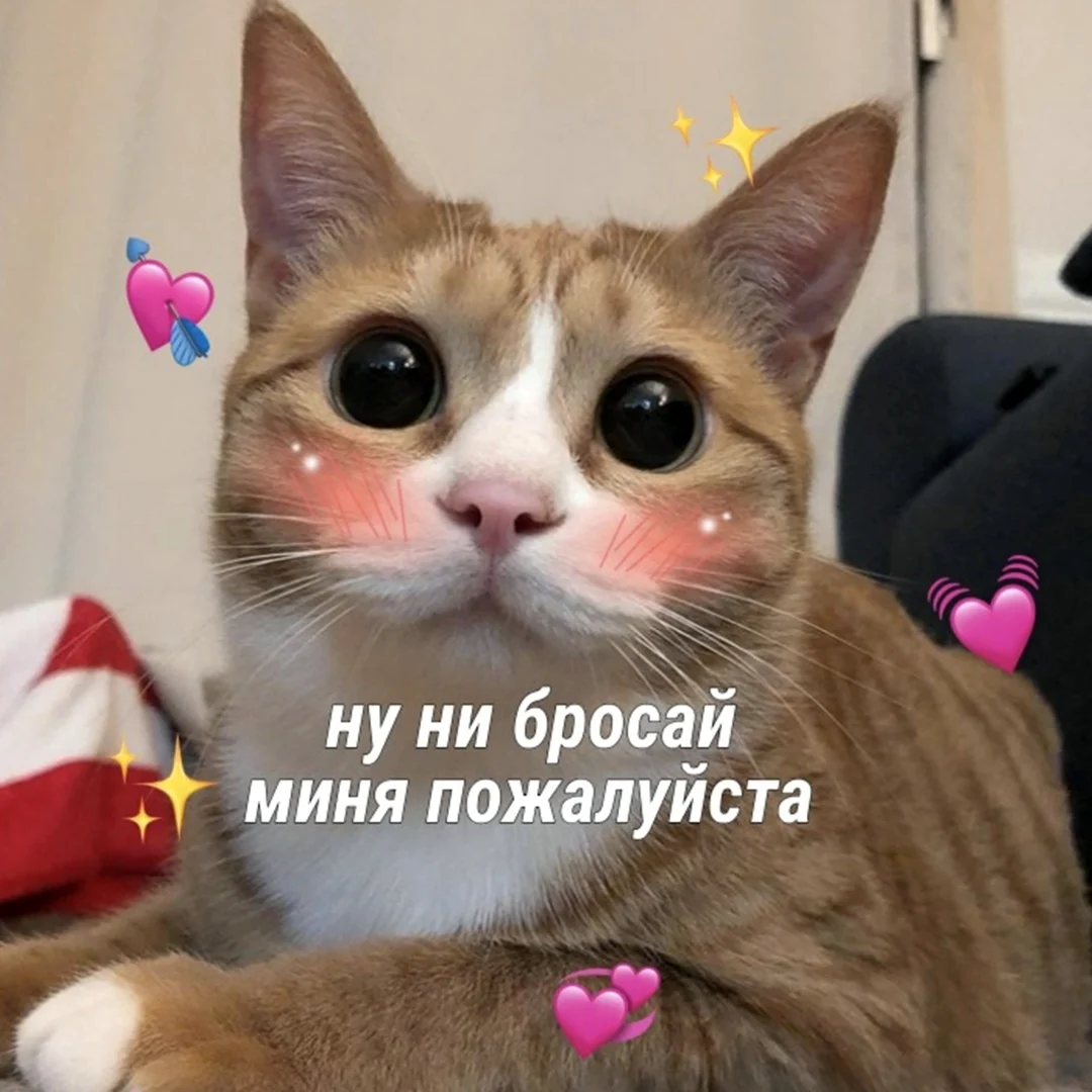Милфе Пикси с извинениями