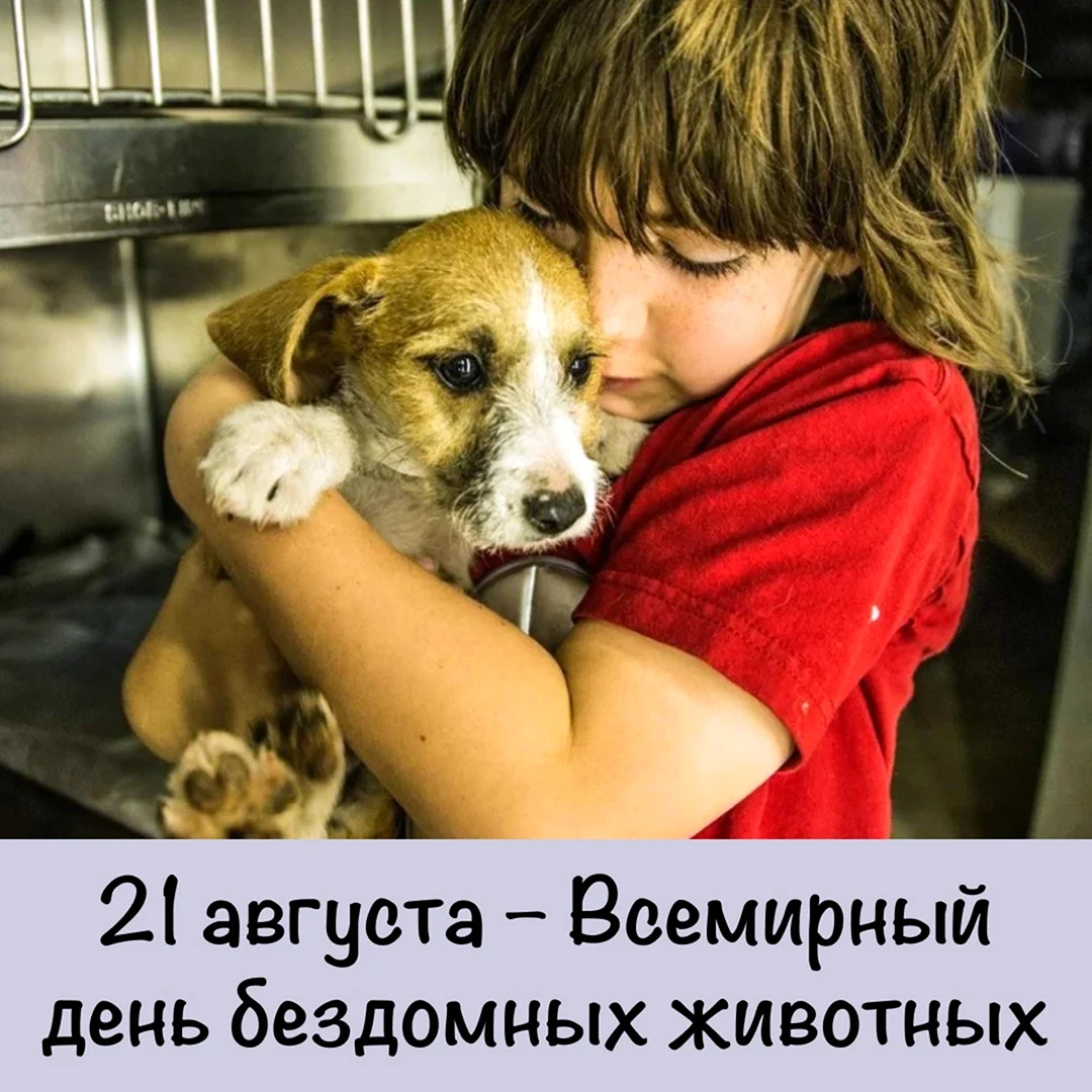 Милосердие к животным