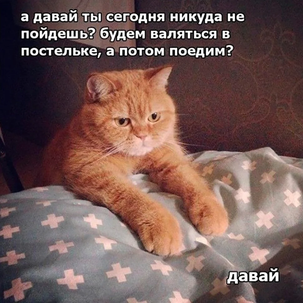 Милые картинки с надписями для поднятия настроения