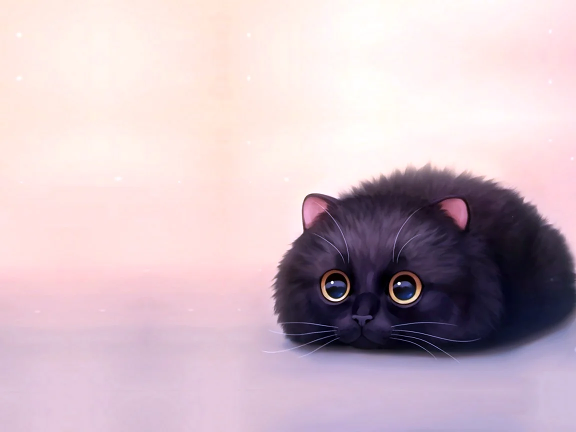 Милый чёрный котик